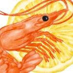 Shrimp Boil Fundraiser - logo